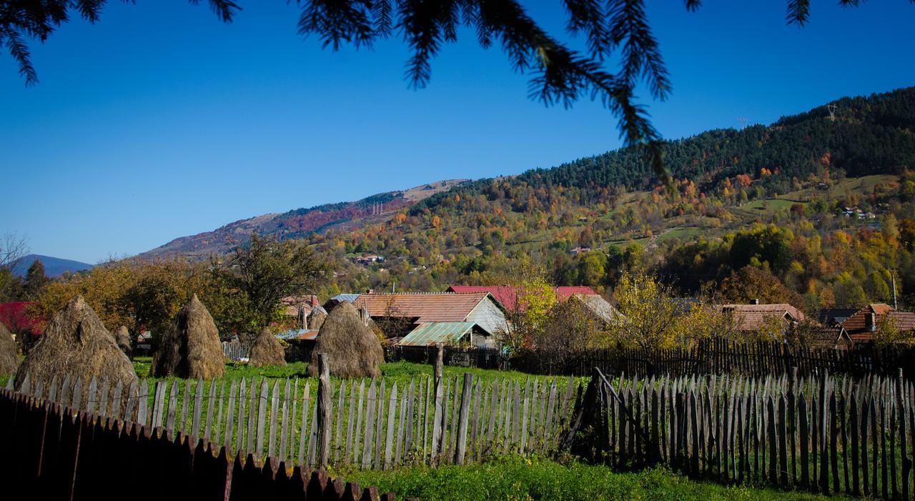 Vila Karina Teşila Buitenkant foto